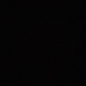 Meet your Posher, Allie